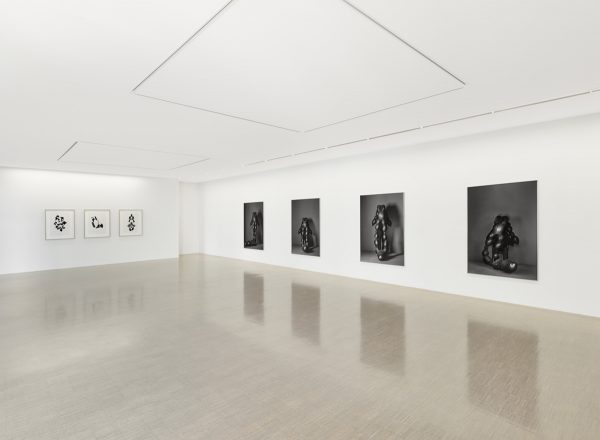 Galerie Thomas Zander Jürgen Klauke ArtJunk