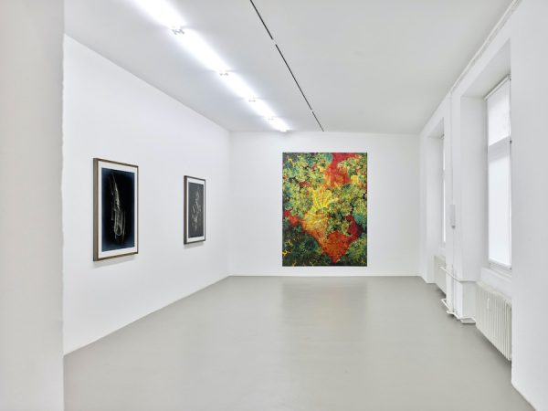 Konrad Fischer Galerie Thomas Ruff ArtJunk